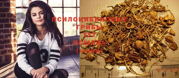 СК Абаза
