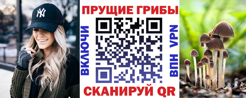 MEGA онион  Кисловодск  Галлюциногенные грибы GOLDEN TEACHER 